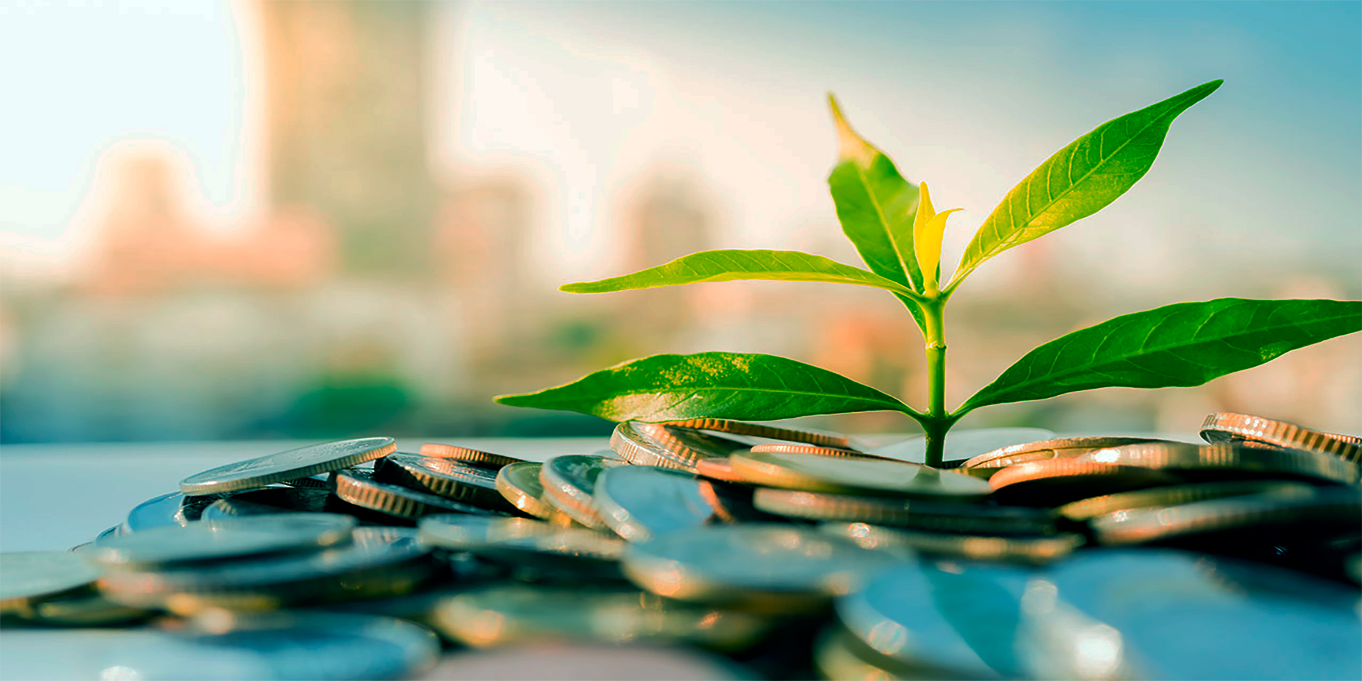 Green Loans